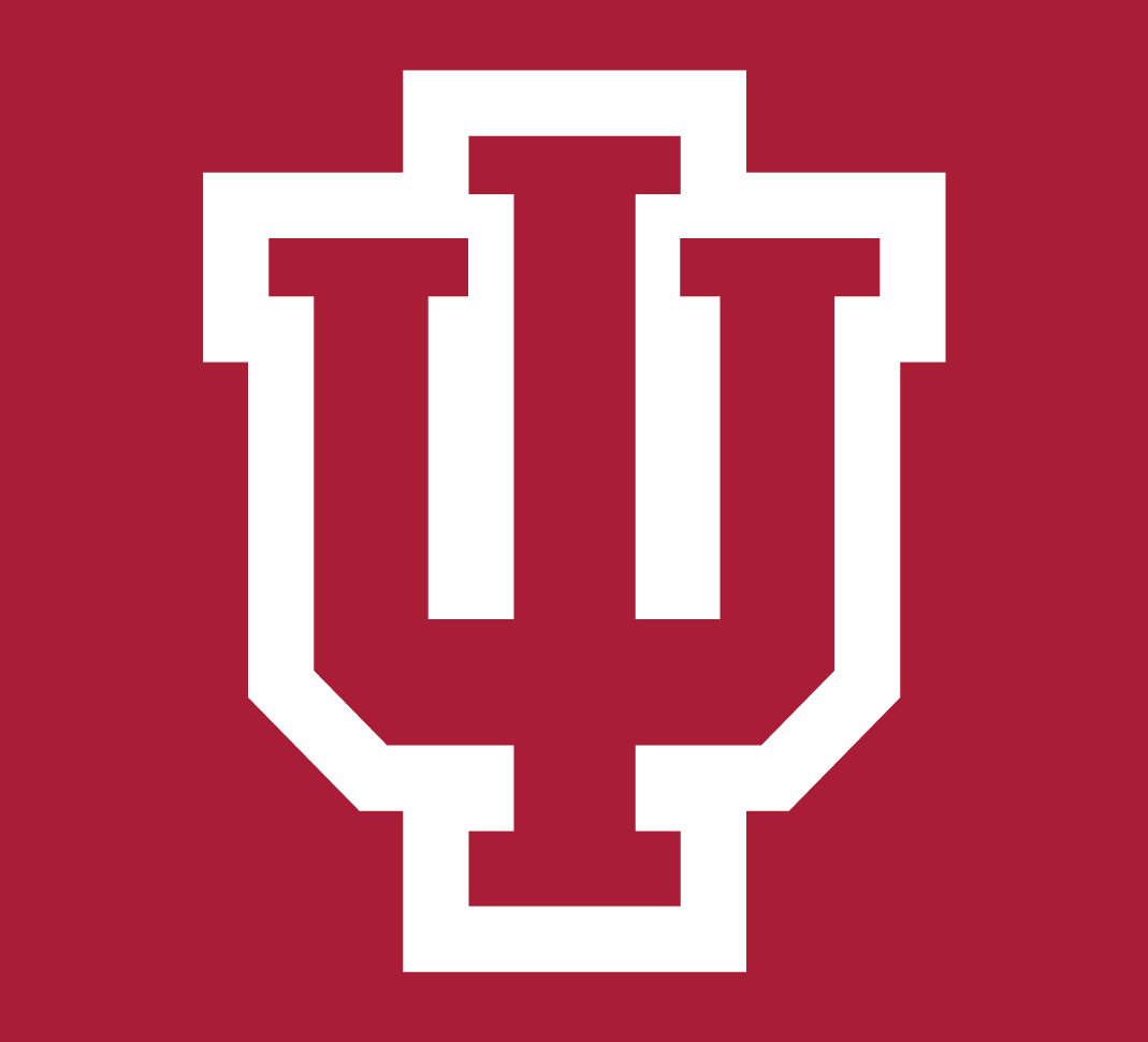 Indiana Hoosiers 2002-Pres Alternate Logo 03 iron on paper